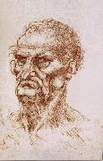 Leonardo Da Vinci Study of an old man oil